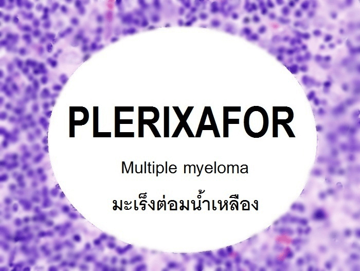 ประเมินความคุ้มค่าการใช้ยา Plerixafor ในคนไข้ โรคมะเร็งไขกระดูกและ มะเร็งต่อมน้ำเหลือง