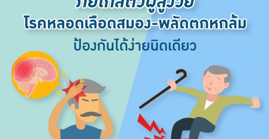 ภัยใกล้ตัวผู้สูงวัย “โรคหลอดเลือดสมอง – พลัดตกหกล้ม” ป้องกันได้ง่ายนิดเดียว