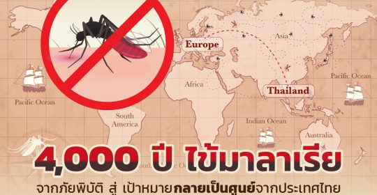 4,000 ปี ไข้มาลาเรีย จากภัยพิบัติ สู่ เป้าหมายกลายเป็นศูนย์จากประเทศไทย